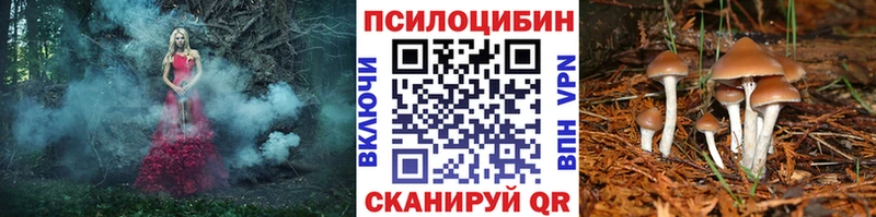 Псилоцибиновые грибы мицелий  Купить где  Подпорожье 