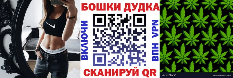 Купить  Подпорожье  Марихуана семена 